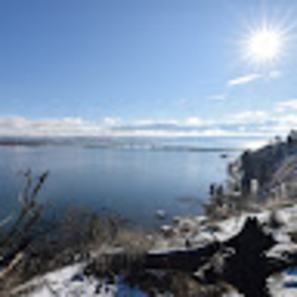 Meet your Posher, Colin - Picture 1 of 1